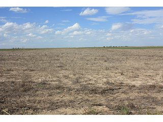 Property photo 86 - LAND AUCTION, 3255+/- Acres offered in 13 Tracts